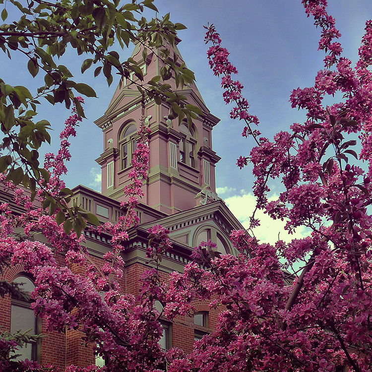 Photo of Pitkin County Courthouse with flowers