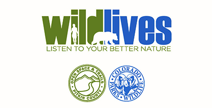 WildLives-Logos-_bear2