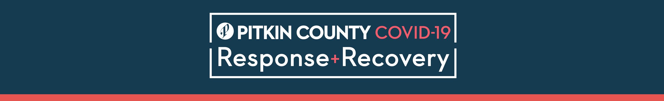 2020-PCPHRR_Google header