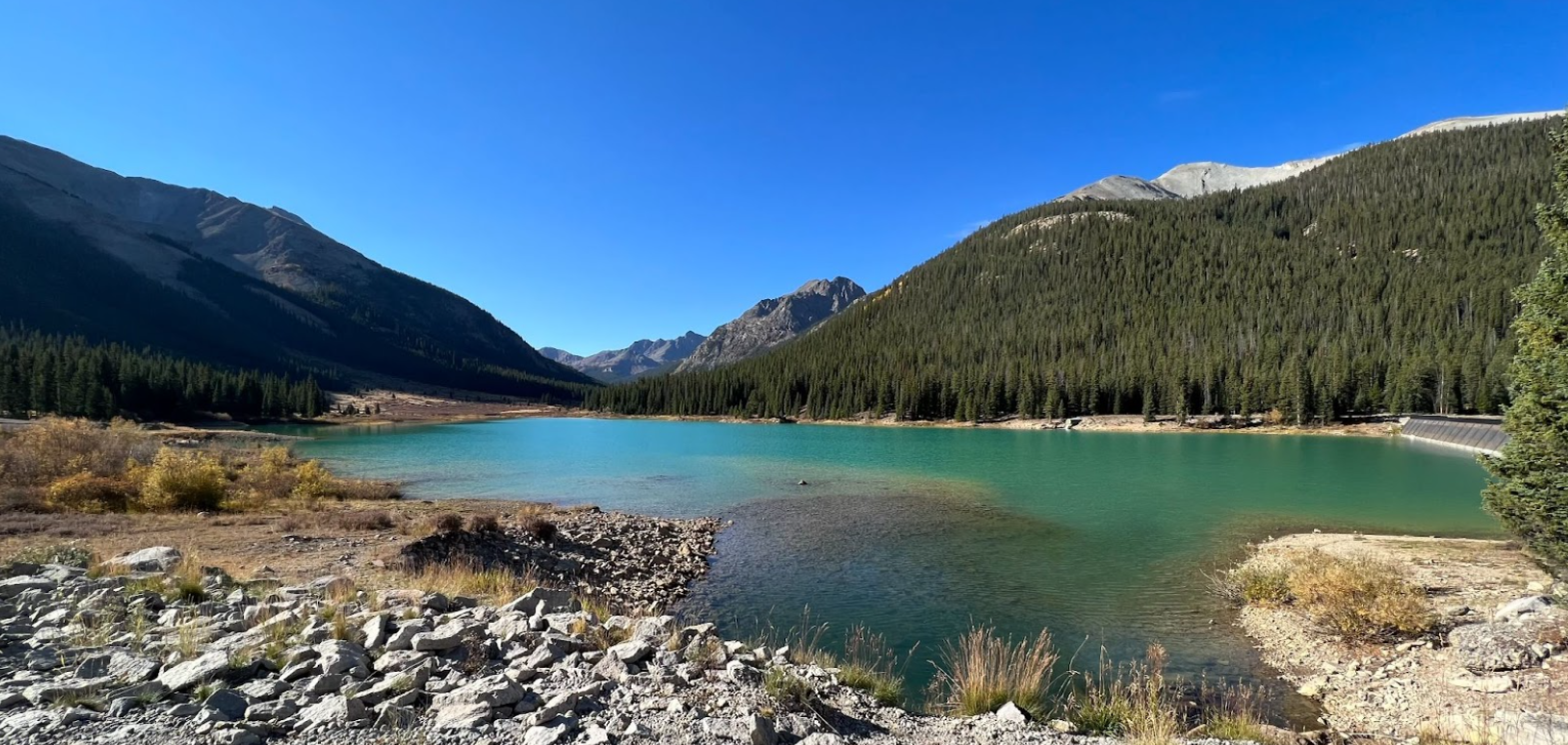 Photo of Grizzly dam 