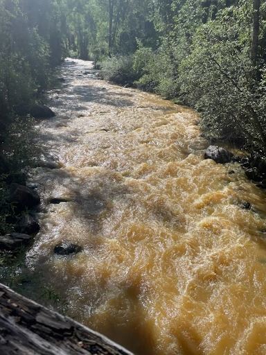 photo of roaring fork river 
