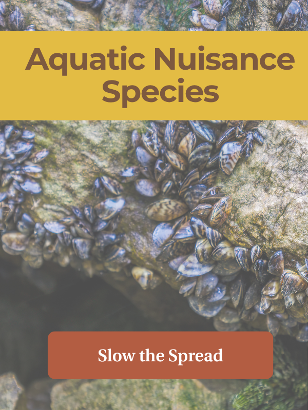 Zebra mussels in the background, text overlay: aquatic nuisance species