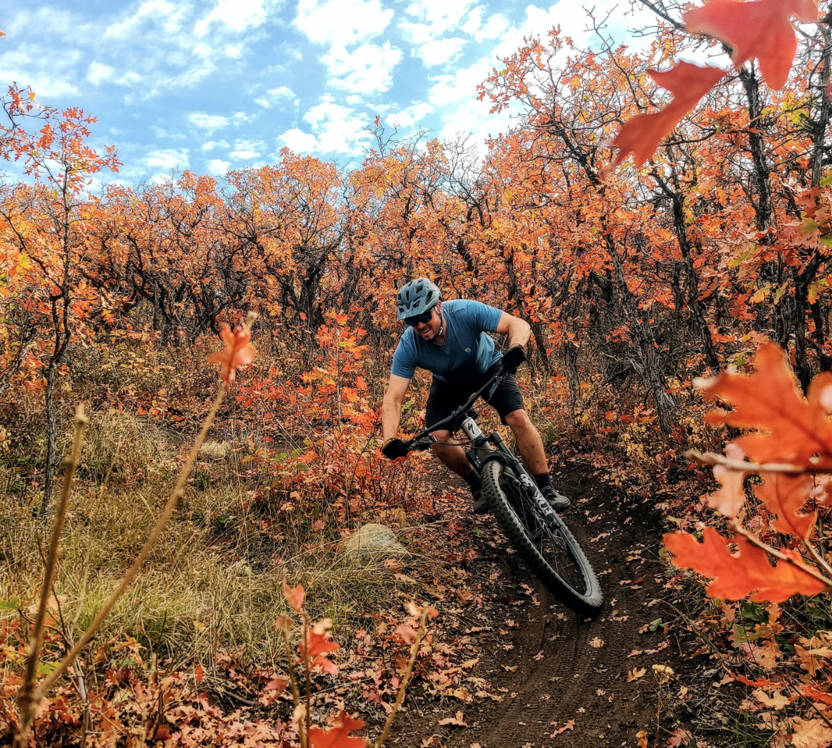 mountain biker on single track riding through red sagebrush 