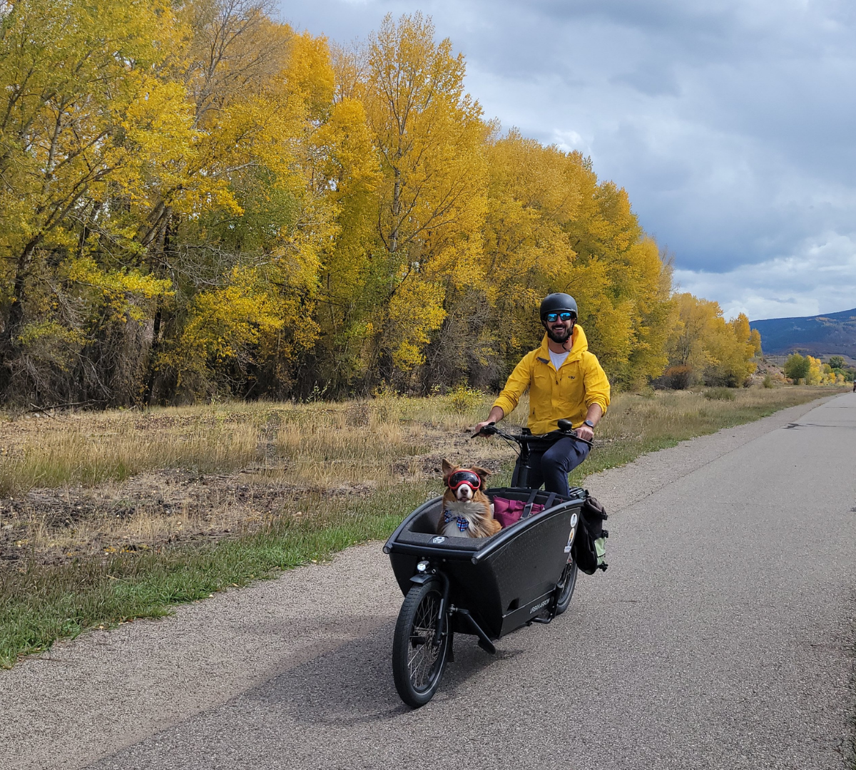 dog wearing goggles sitting in basket attached to the front of an ebike, man pedaling ebike