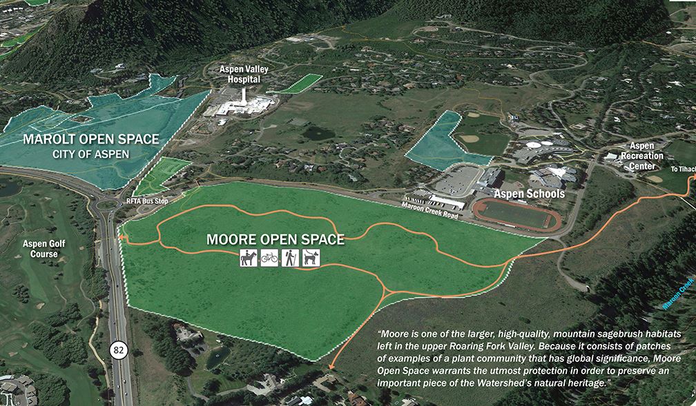 Moore Open Space