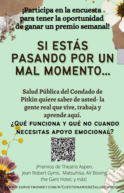 Mental Health survey flier (espanol)