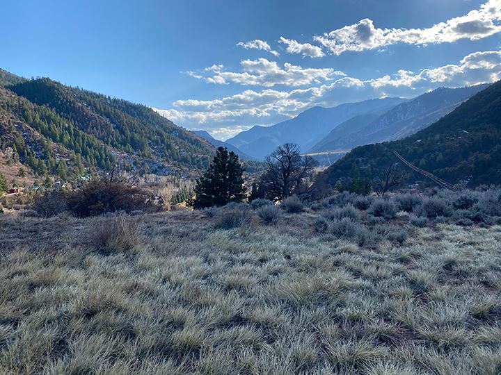 The mesa at Red Wind Point Open Space - site of the cheatgrass experiment.
